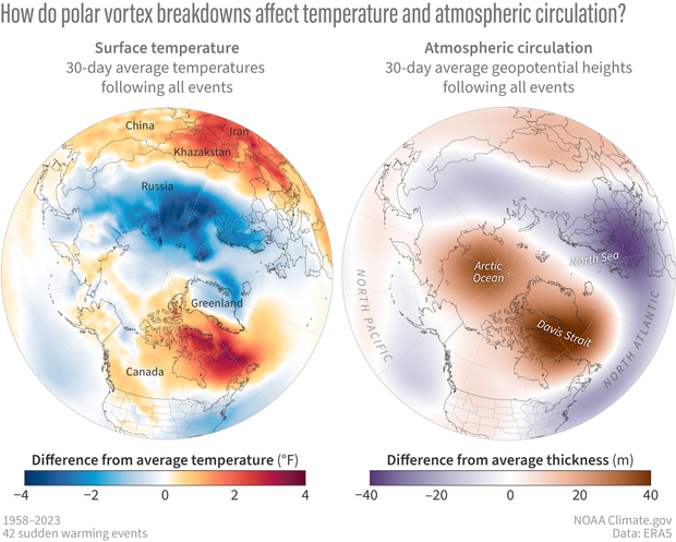 Maps of surface temperature and atmospheric thickness anomalies after major stratospheric warmings