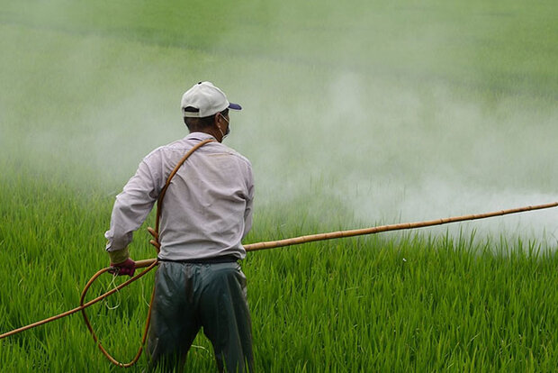 Worker spraying herbicide