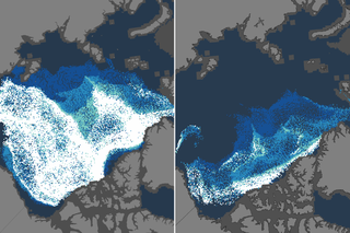 Maps comparing Arctic sea ice age in March 1985 versus 2021