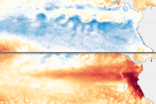 Maps of tropical Pacific showing contrasting cool and warm temperature patterns