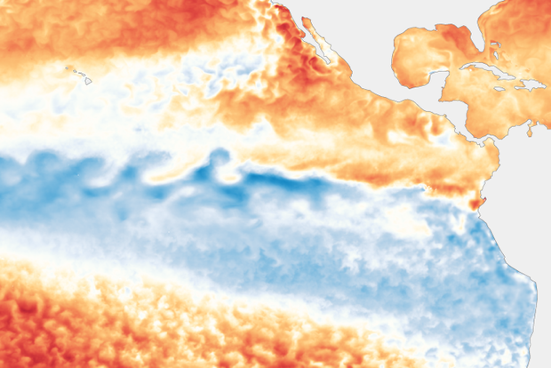 map of tropical Pacific sea surface temperature