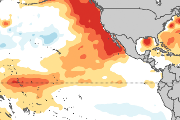 Map of the eastern North Pacific showing temperature patterns during the Pacific Meridional Mode